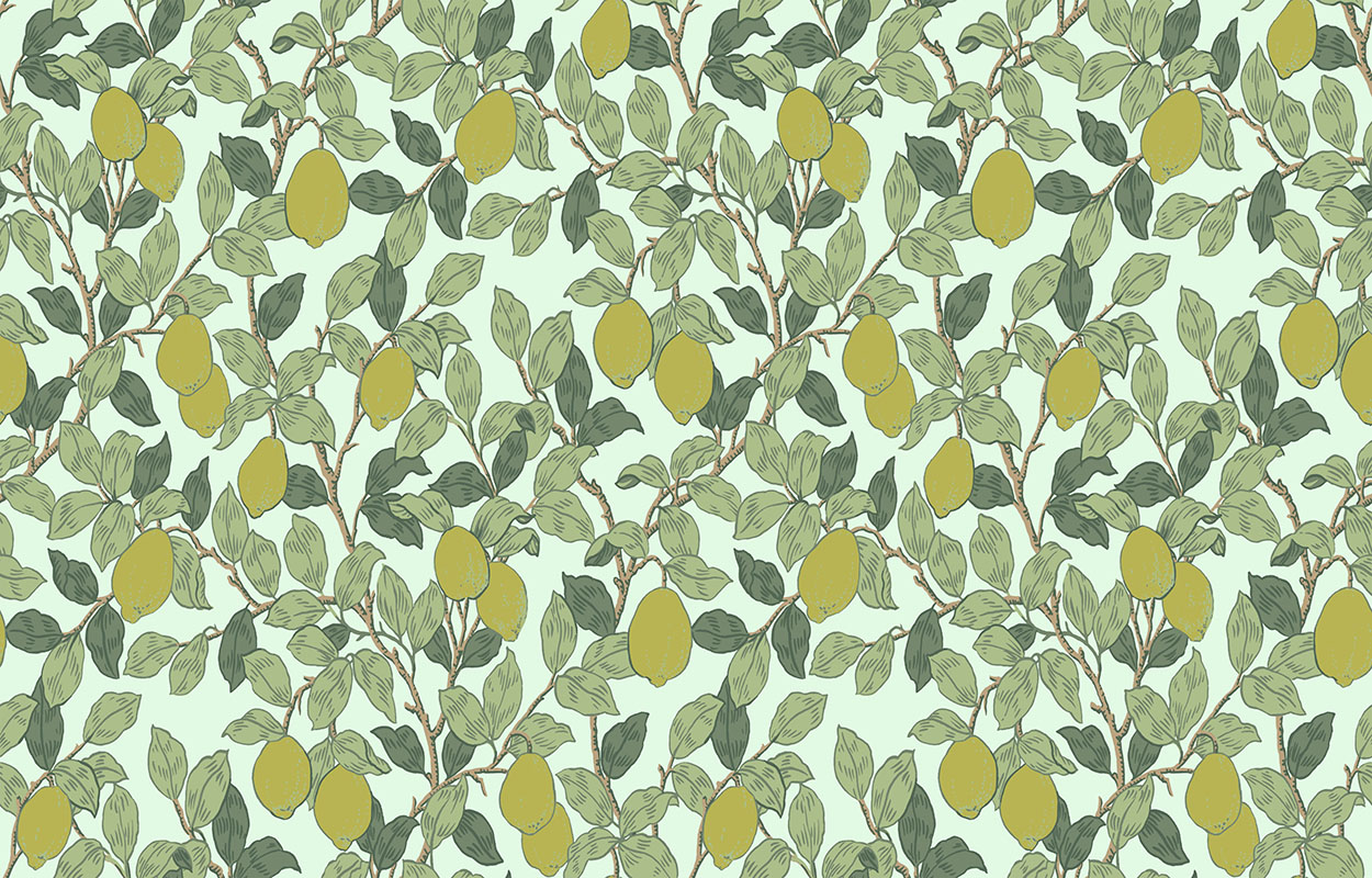 Обои Loymina Equator Citron QTR3 006 10,05×1 Обои Loymina Equator Citron QTR3 006 10,05×1